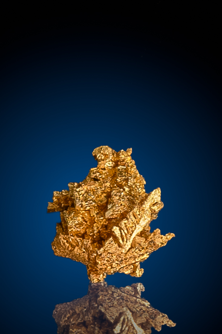 (image for) Sharp Crystallized Gold from the Round Mountain Gold Mine, NV - 0.31 grams